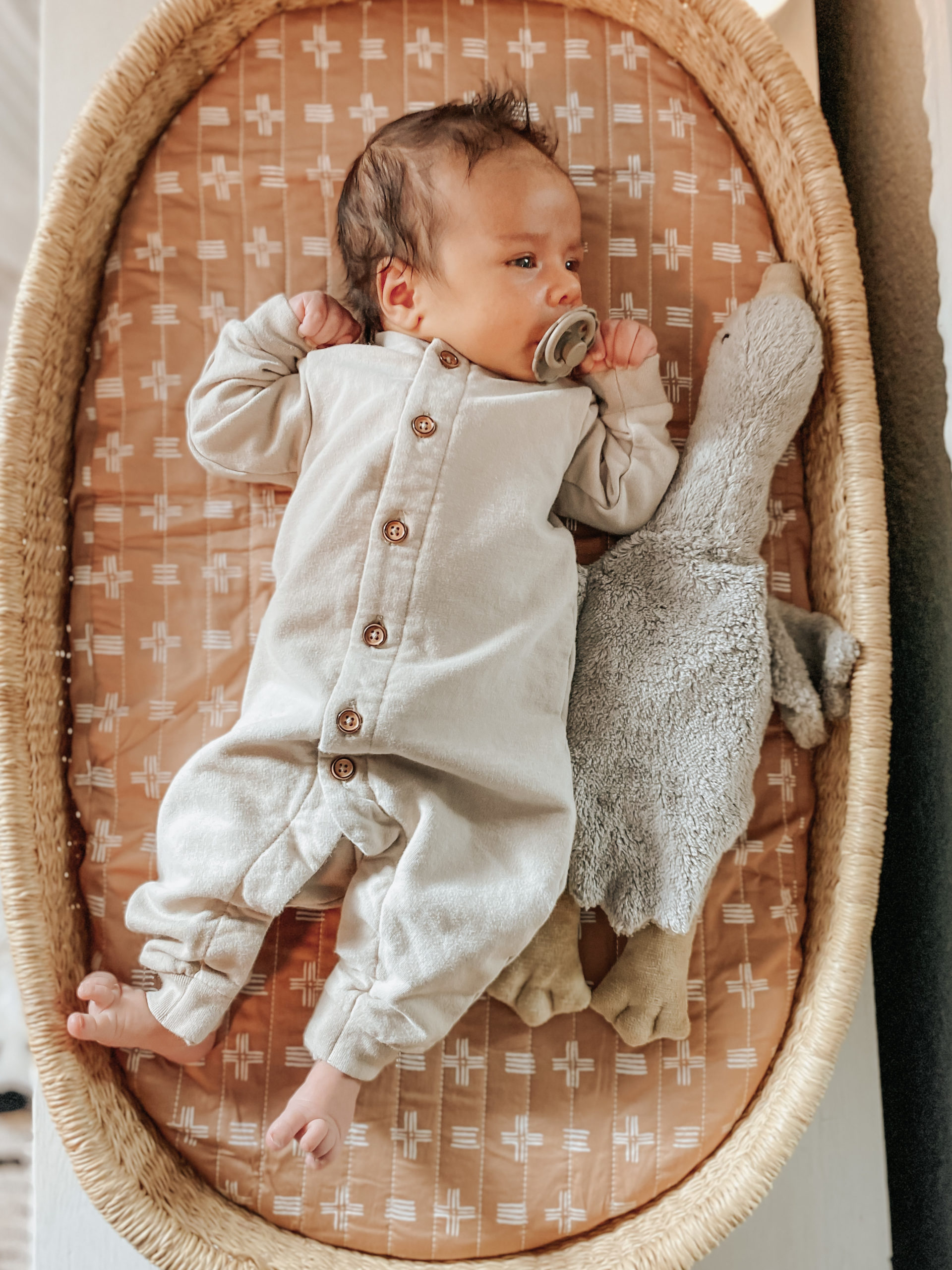 Trend Lab Burp Cloths Buy Trend Lab Igloo Friends Deluxe Flannel