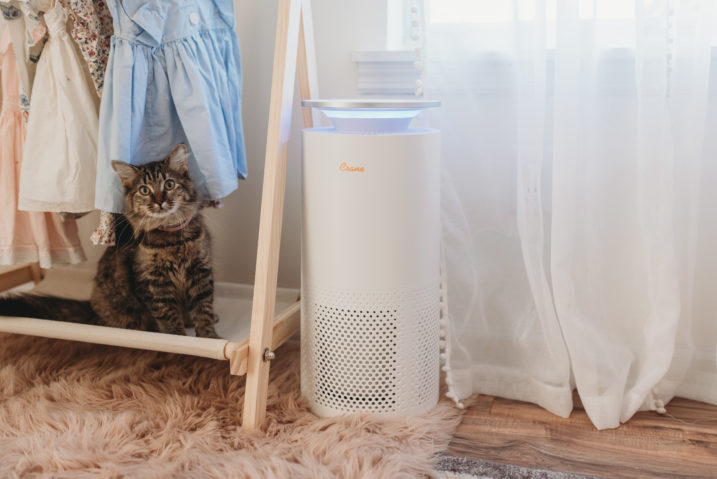 Crane Baby Air Purifier for Cat Allergies