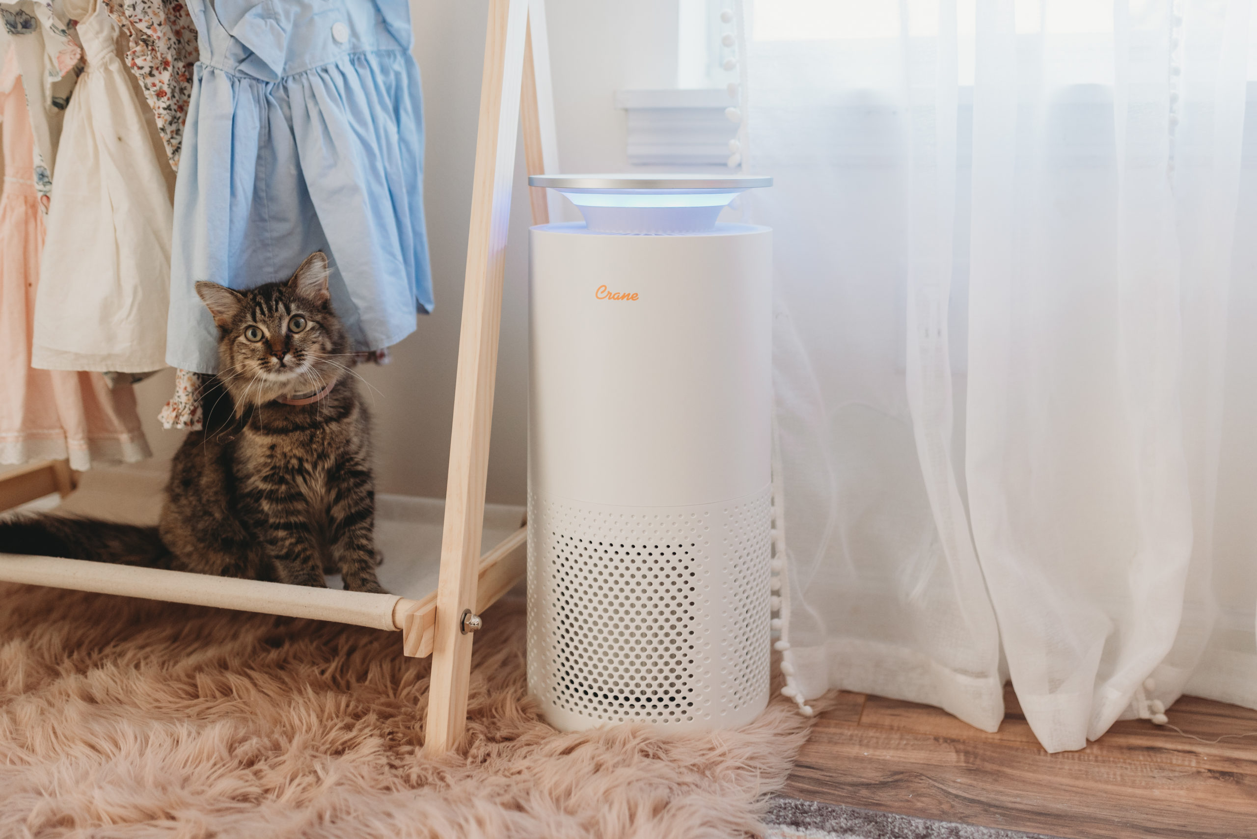 Are Air Purifiers Safe for Babies and Newborns? Crane Baby