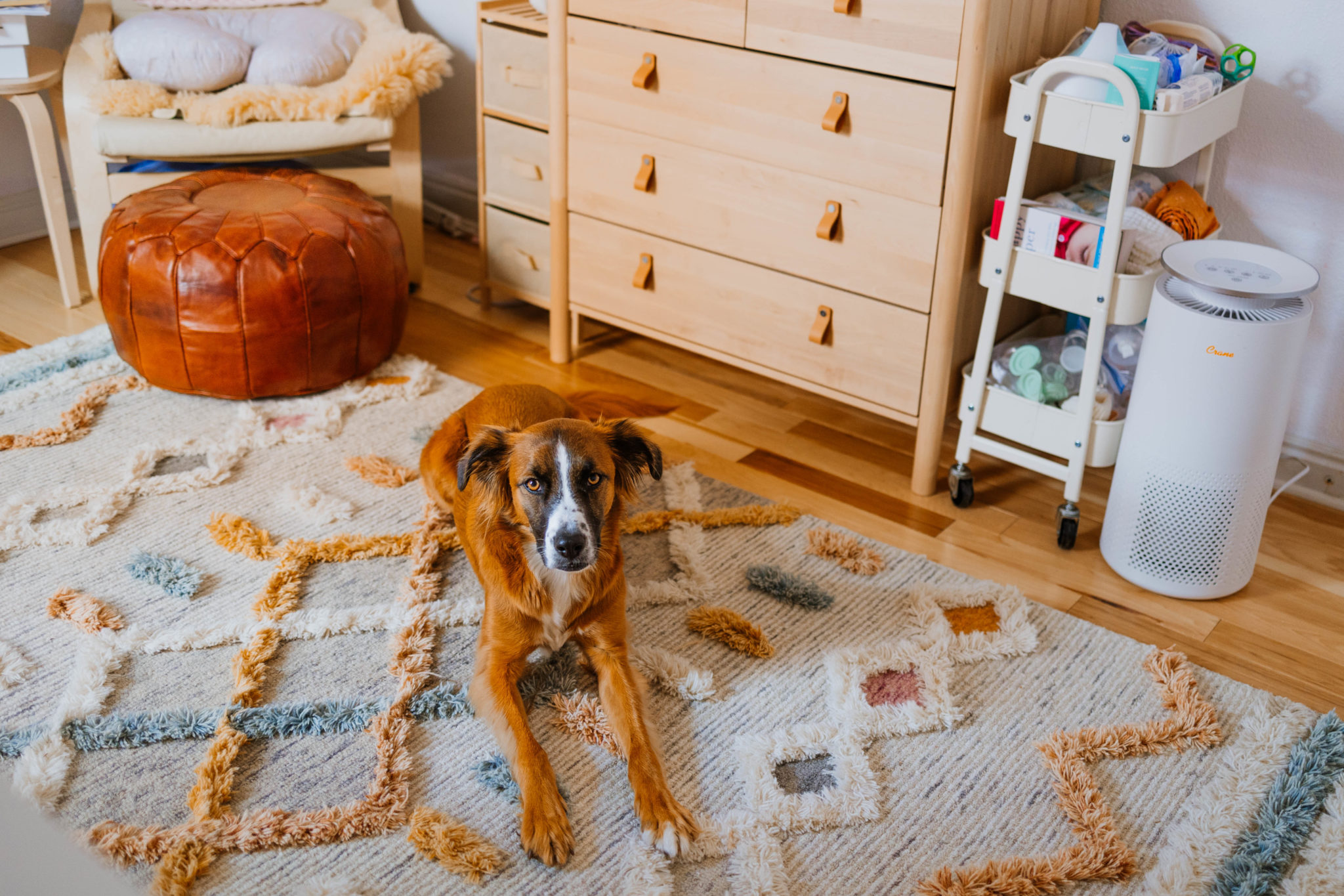 Are Air Purifiers Safe for Babies and Newborns? Crane Baby