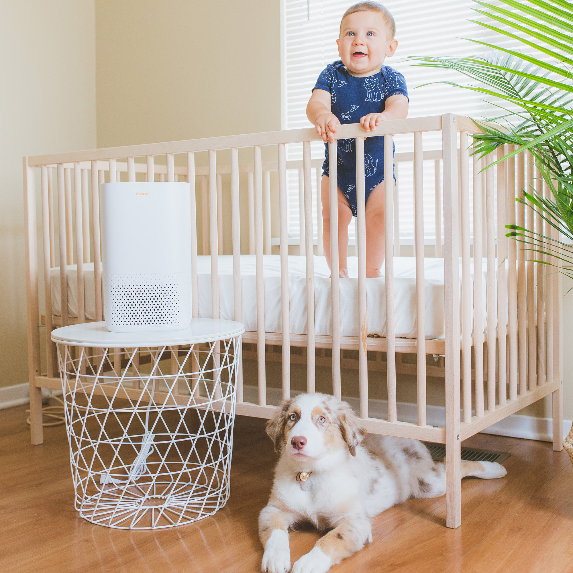Baby standing up in his crib