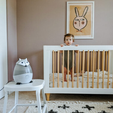 baby in a crib next to a raccoon humidifier