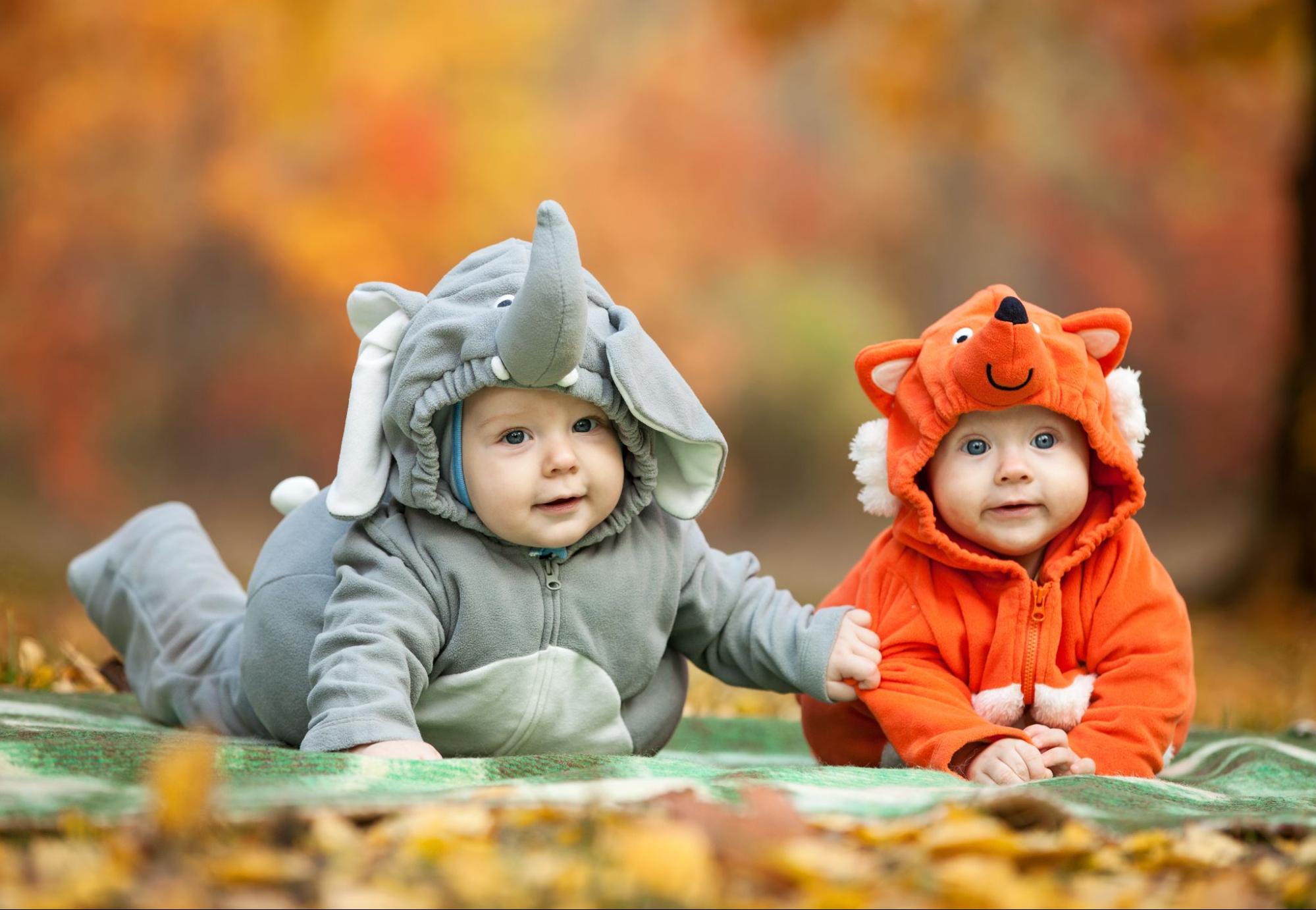 Baby Shark Costume Halloween Party Costume for Kids Sizes Baby to Toddler  Super Cute Baby Animal Halloween Delivery Guaranteed 