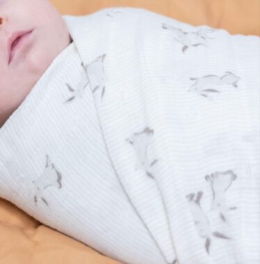 Close up of a baby wrapped in a swaddle