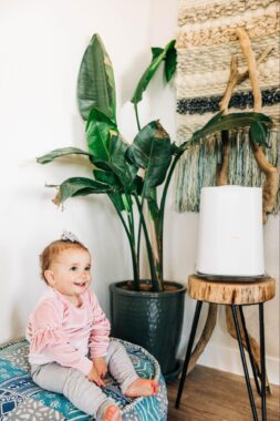 Toddler sitting on a cushion next to a tall plant