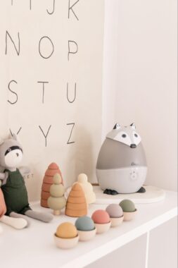 Racoon humidifier and toys on a shelf